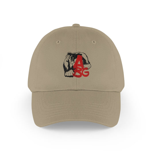 Low Profile Baseball Cap